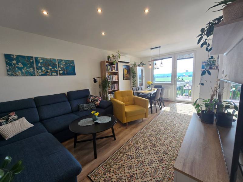 Living room in a 4-room apartment with a sofa, yellow armchair, dining table, and plants.