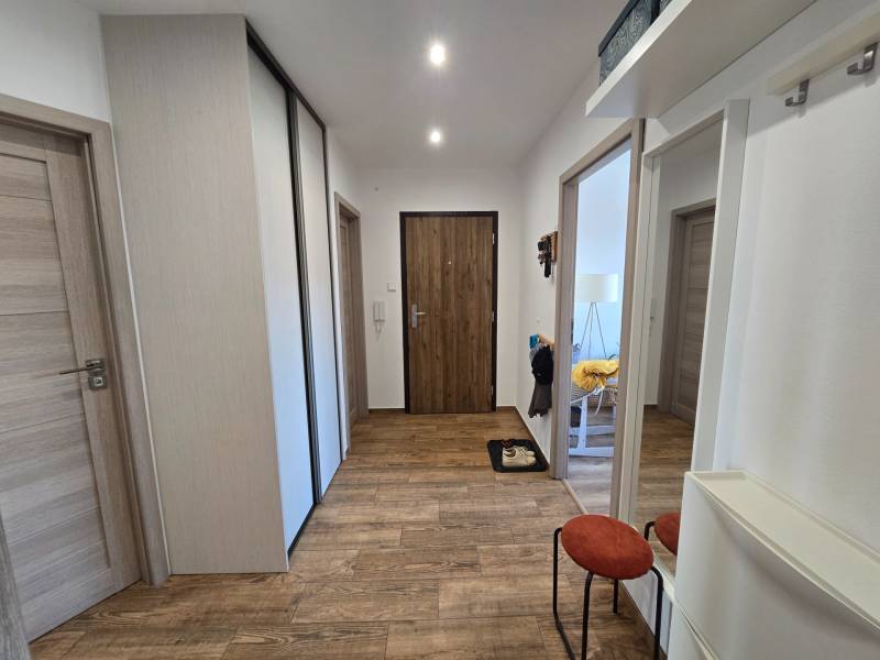 A hallway with a built-in wardrobe, wooden floor, and several doors in a 4-room apartment.