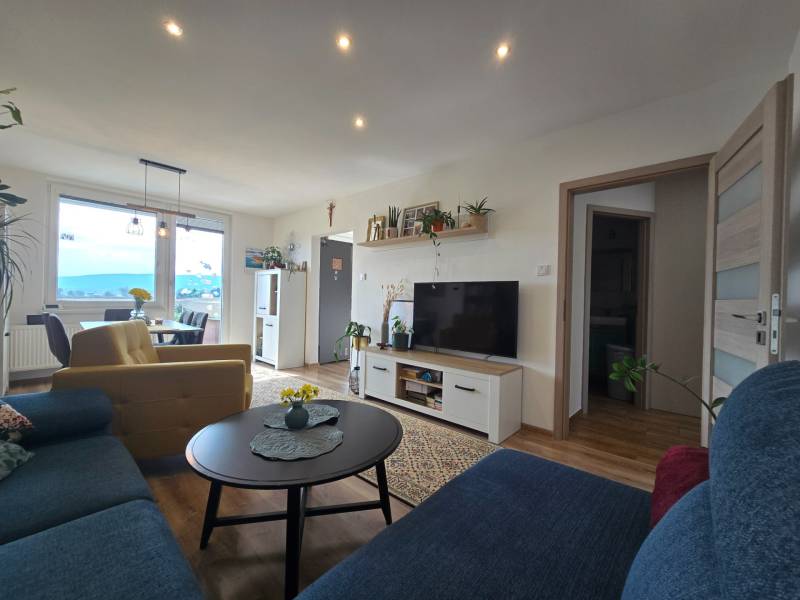 Living room in a 4-room apartment with a comfortable sofa, television, and a coffee table.