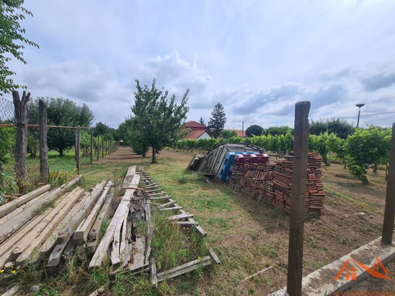 Gardens in Moča with stored wood and bricks, surrounded by vineyards and fruit trees.