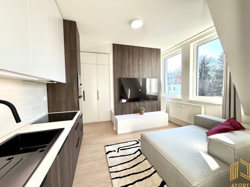 A spacious studio apartment with a kitchenette, comfortable seating, and a television.