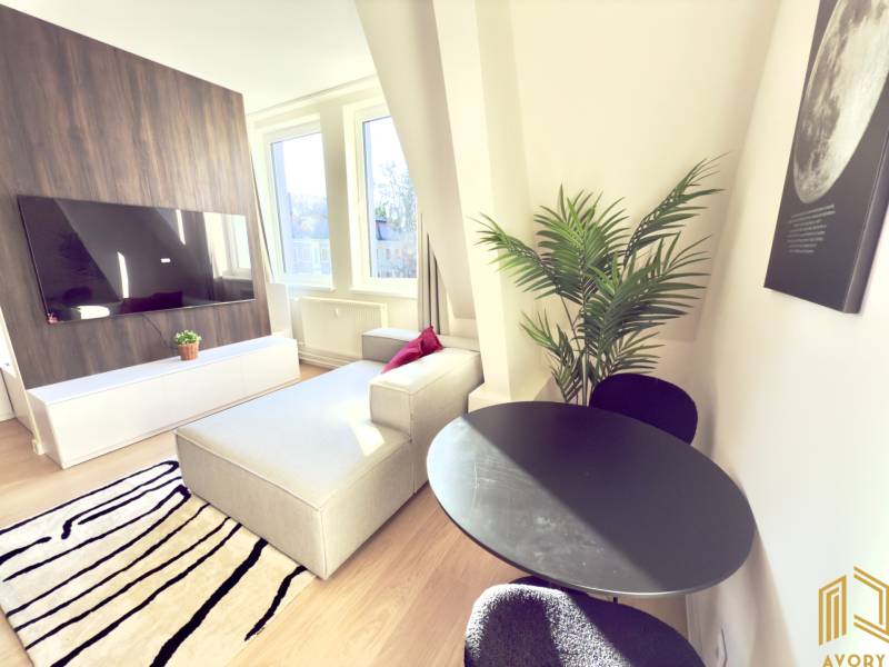 Studio apartment with a television, sofa, and table, complemented by a plant and a modern carpet.