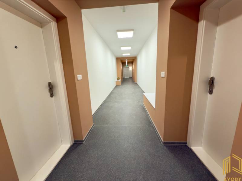 Hallway with white doors, lighting on Sadová Street, leading to a studio apartment.