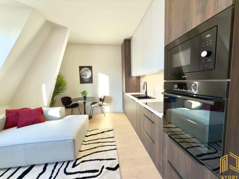 Studio apartment with a kitchenette, sofa, table, and plant, ideal for cozy living.