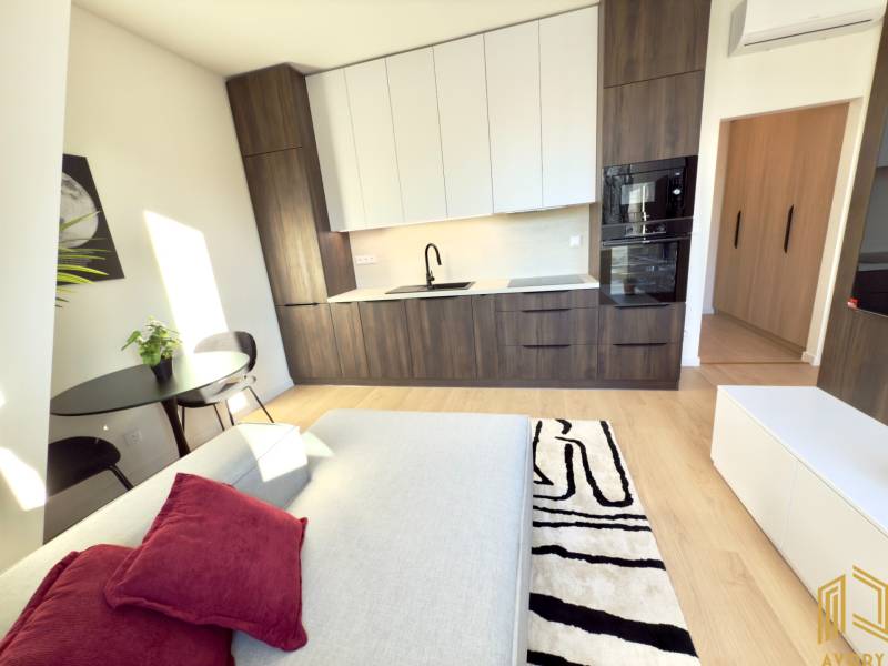 Studio apartment with a kitchenette and dining table, comfortable sofa, wooden design.