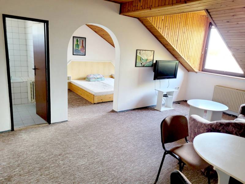 Attic 2-room apartment with a television, table, chairs, and entrance to the bedroom.