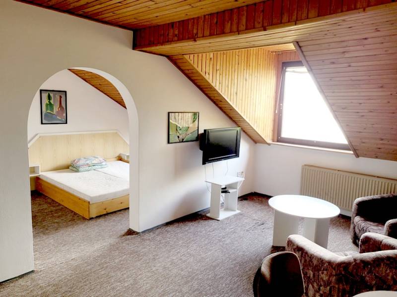 Attic 2-room apartment with arched transitions and a skylight.