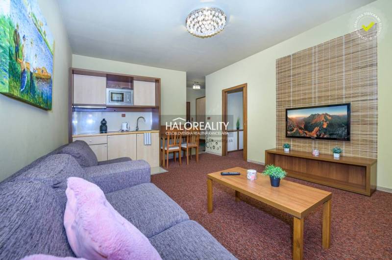 Living room of a two-room apartment with a kitchenette, sofa, and TV on the wall.