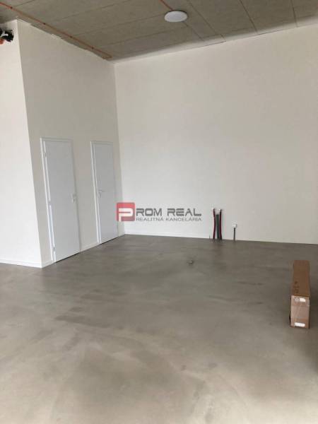 Interior of commercial premises with concrete flooring and doors, ready for rent.