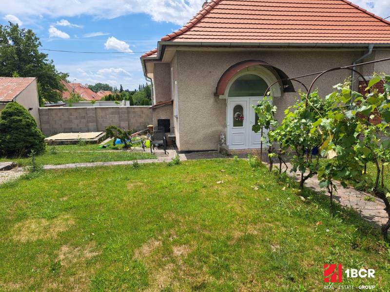 A family house in Nitra on Nécseyho Street with a well-maintained garden and a vine bush.