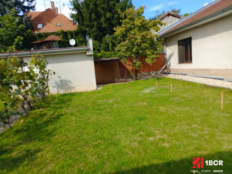 Garden of a family house on Nécseyho Street in Nitra, with a lawn and a tree.