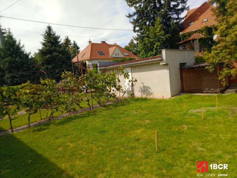 The garden of a family house on Nécseyho Street in Nitra with a lawn and vineyard.