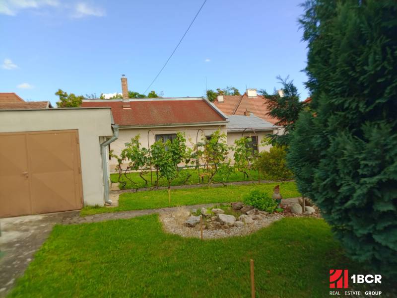 A family house in Nitra on Nécseyho Street with a landscaped garden and lawn.
