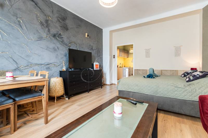 Living room with a dining table, television, and bed in a 2-room apartment.
