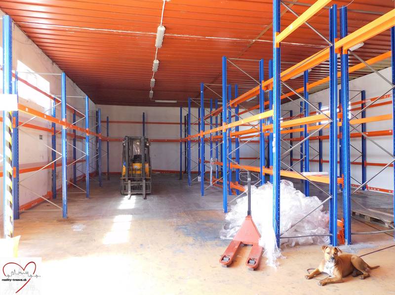 Warehouses and halls with high shelves, a cart, and a lying dog.