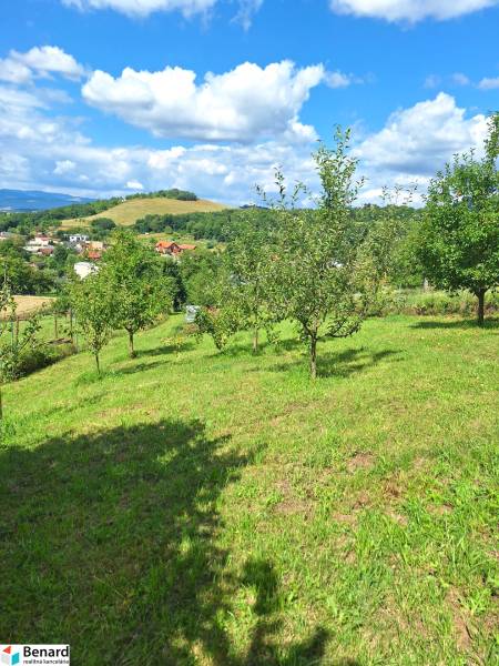 Greenery and fruit trees on residential plots in Bodovce surrounded by nature and the sky.