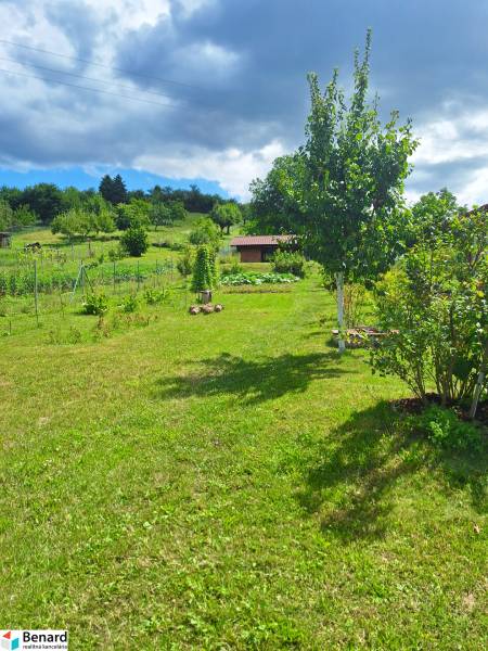 Garden in Bodovce on a residential plot, with trees and a sky dotted with clouds.