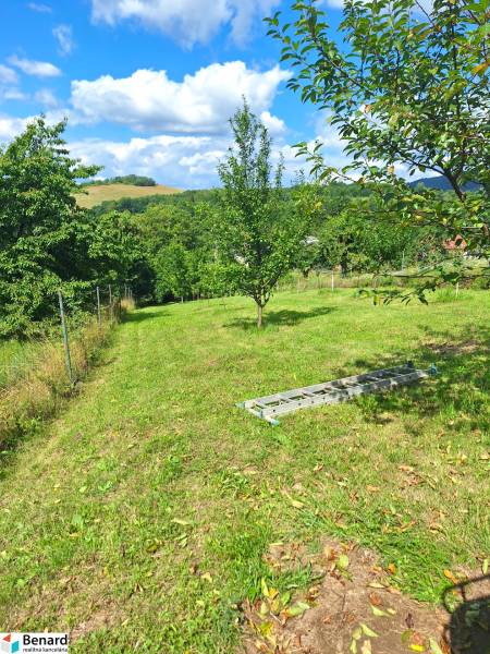 Garden on the property in Bodovce on Bodovce Street with fruit trees.