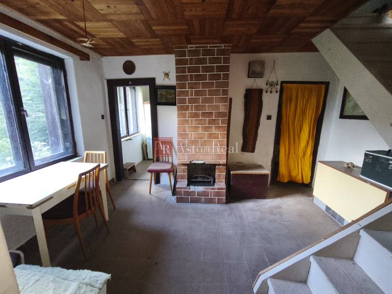 Living space in a cabin with a fireplace, simple furniture, and a floor with a wood decor.