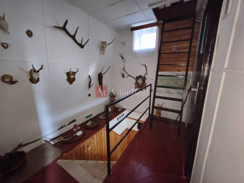 The interior of a cabin with a staircase, wall decorations, and a collection of hunting trophies.