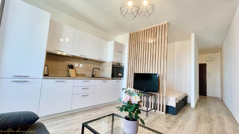 1-bedroom apartment with a kitchenette, TV, wooden partition, and flowers on the table.