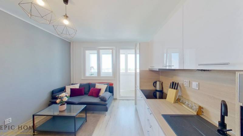 Living room in a one-bedroom apartment with a kitchenette and a sofa.