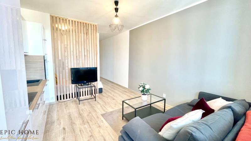 Living area of a studio apartment with a sofa, TV, and wooden partition.