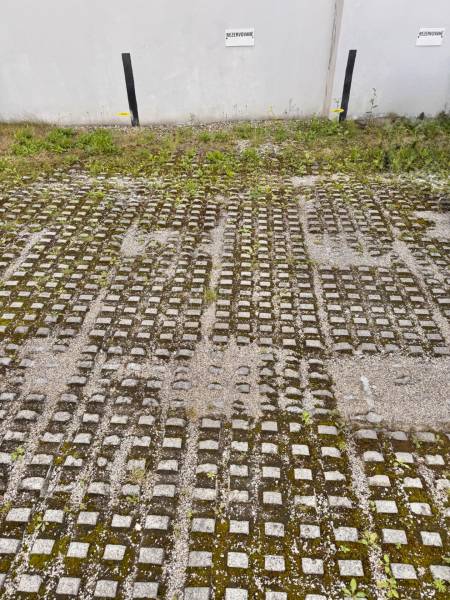 Area with greenery and reserved parking space in the Garages on J. M. Hurbana in Žilina.