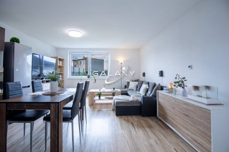 Dining room in a family house with wooden flooring, large windows, and modern furniture.