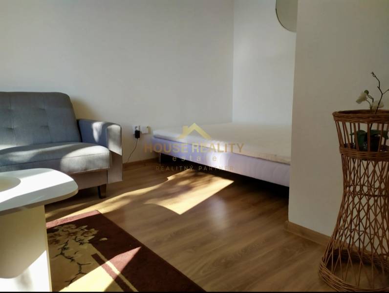 Living space of a studio apartment with a sofa, bed, and light wooden furniture.