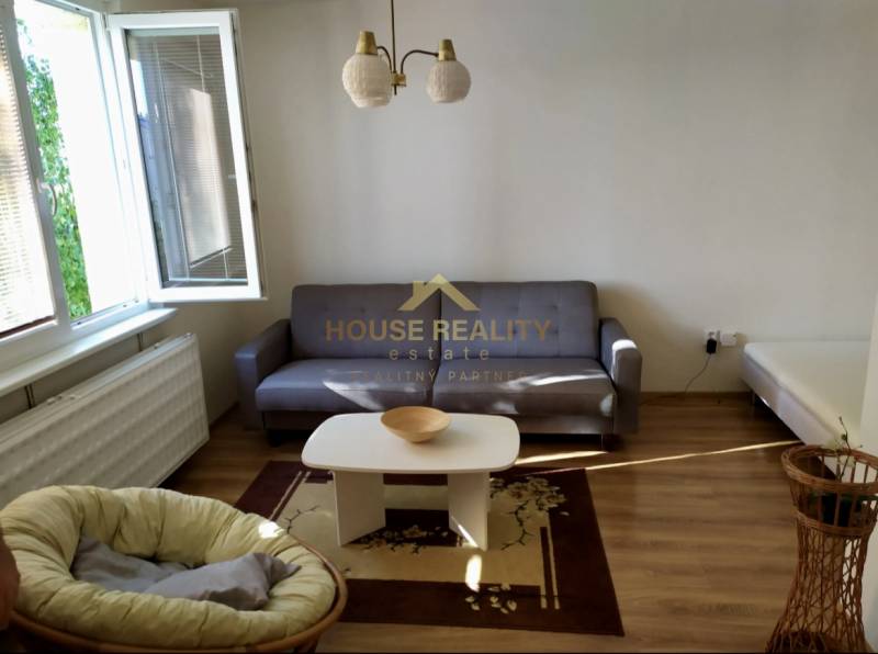 Living room with a sofa, coffee table, and armchair in a studio apartment.