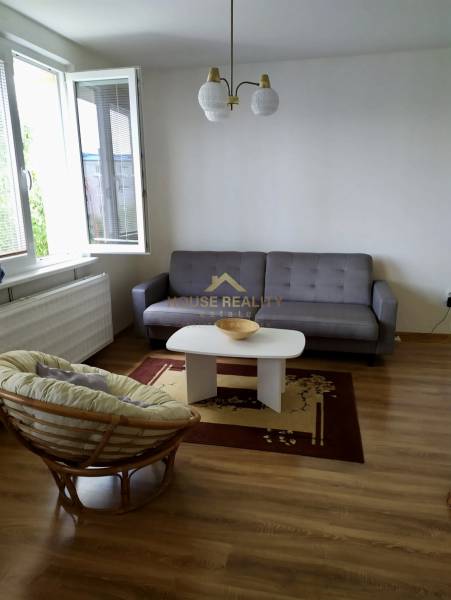 A bright living space in a studio apartment with a beige armchair and a gray sofa.