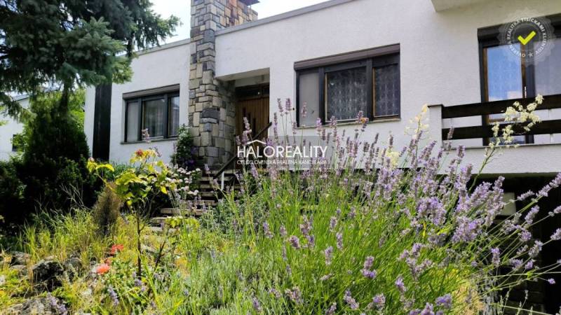 A family house in Plavecký Mikuláš with a front garden full of lavender and stone cladding.