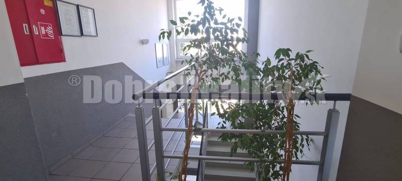 A staircase in offices with a red fire cabinet and a houseplant.