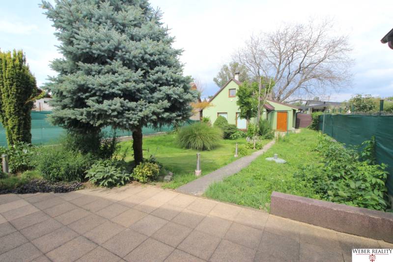 Garden at the family house on Nové Záhrady VII in Bratislava - Ružinov.
