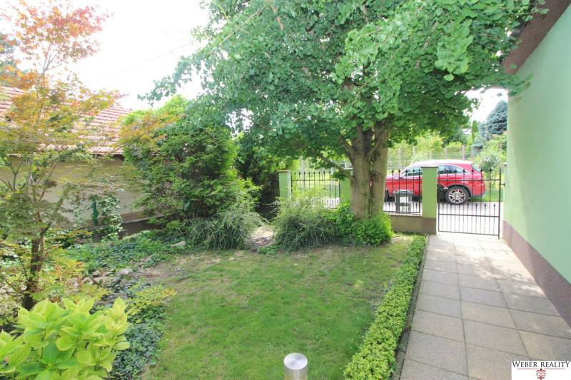 The garden of a family house in Bratislava on Nové Záhrady VII with a lawn and trees.