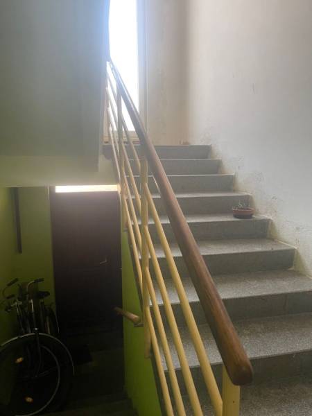 A staircase in a family house with bicycles and a plant on the windowsill.