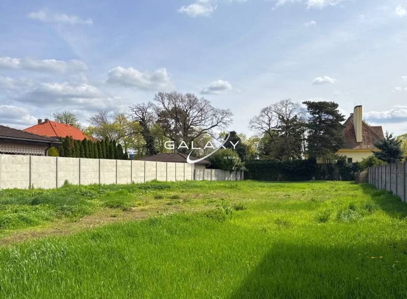 A green plot in Sládkovičovo suitable for living, surrounded by hedges and trees.