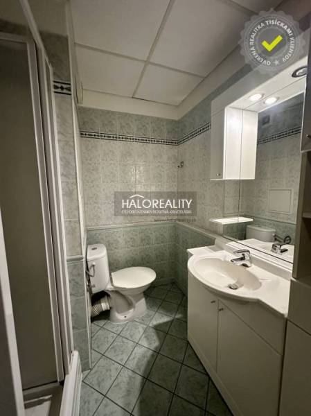 Bathroom with a shower, sink, and toilet in a studio apartment.