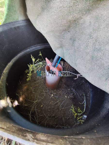 Plastic cover with cables and vegetation on the plots - housing in Jelšovce.