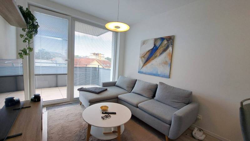 A comfortable living room with a corner sofa and art in a two-room apartment.