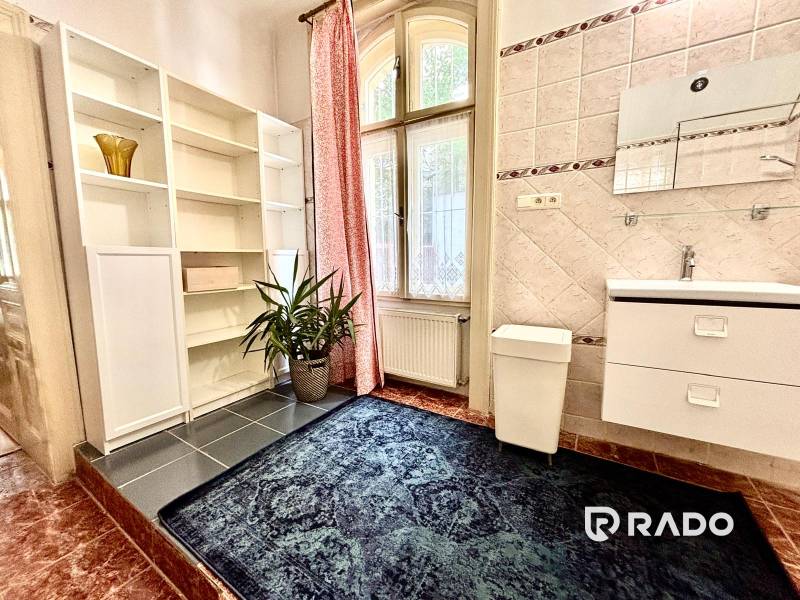 A bathroom in a 2-room apartment with a sink, shelf, carpet, and plant.