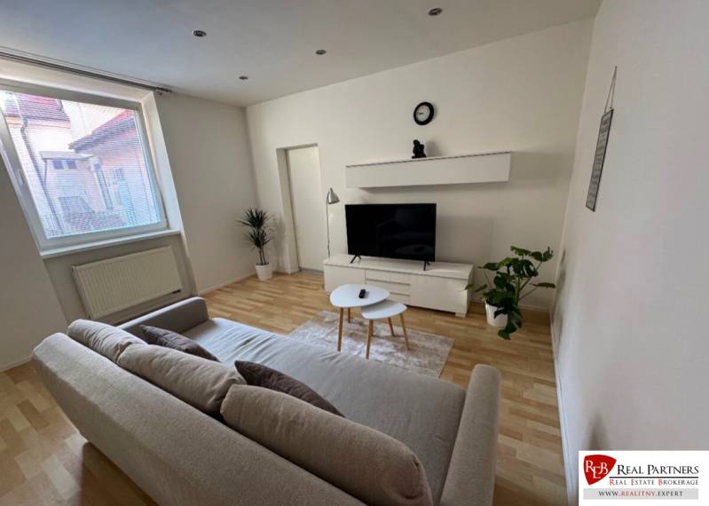Living room in a two-room apartment with a sofa, television, and plants on parquet floors.