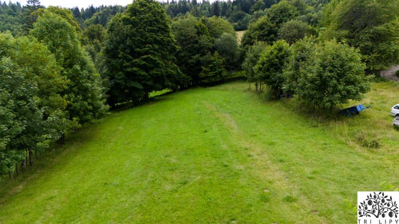Greenery and grassy area on recreational land in Oščadnica surrounded by trees.