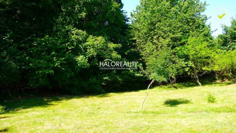 Greenery and trees on a sunny plot in Pernek suitable for living.