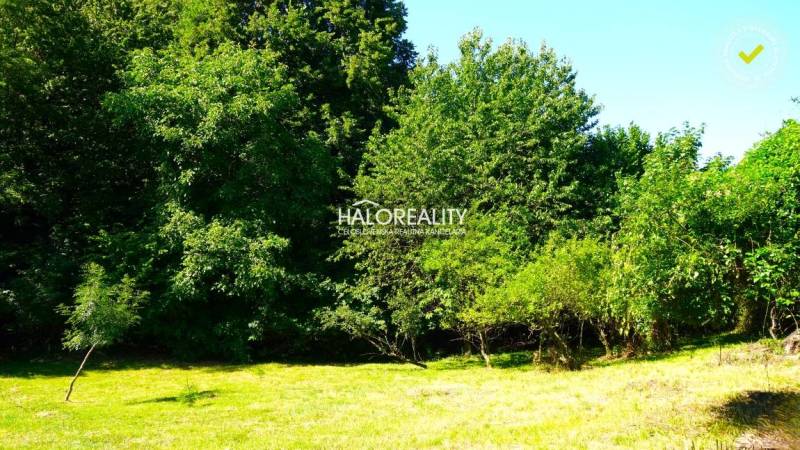 A green plot in the village of Pernek surrounded by trees, suitable for living.