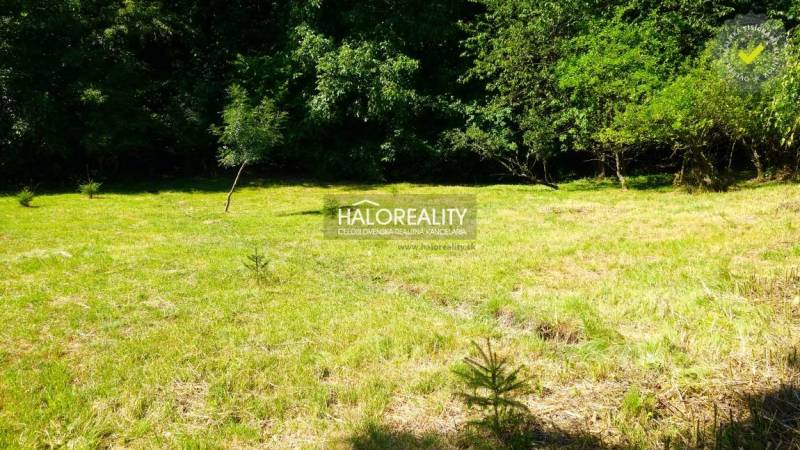 Sunny residential plots in Pernek surrounded by greenery and forest vegetation.