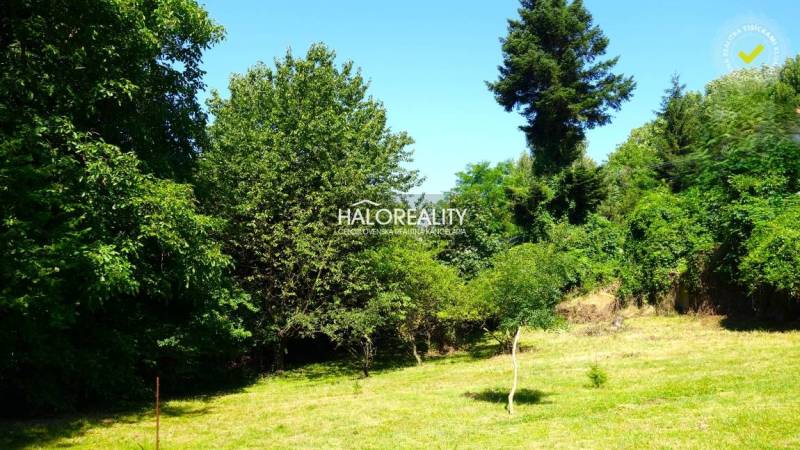Greenery and trees on residential plots in Pernek.