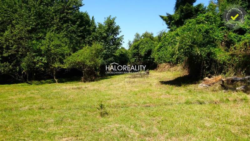 Greenery and trees in Pernek for plots - housing, ideal for peaceful living.