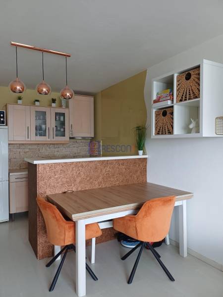 Dining area in a 2-room apartment with orange chairs and pendant lamps.